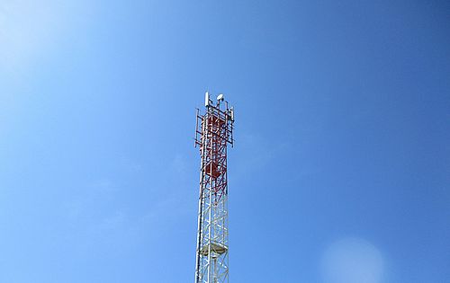 Фото: пресс-службы МТС